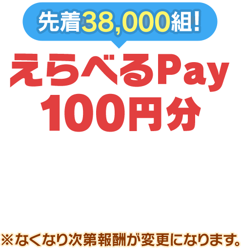 先着38,000組!えらべるPay 100円分